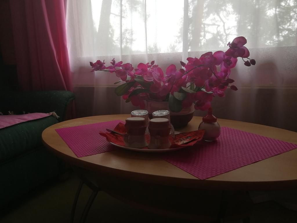 Hotel Villa Vanessa Siltakylä Buitenkant foto